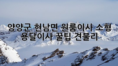 양양군 현남면 원룸이사, 소형 용달이사 꿀팁🍯 (견불리)