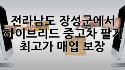 전라남도 장성군에서 하이브리드 중고차 팔기: 최고가 매입 보장!
