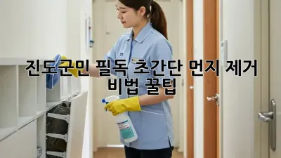 🏡 진도군민 필독! 초간단 먼지 제거 비법 꿀팁 🍯
