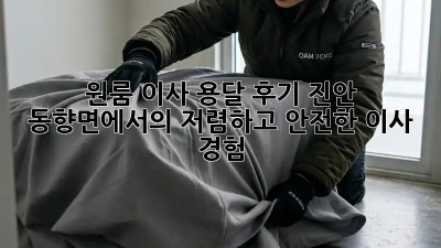 원룸 이사 용달 후기: 진안 동향면에서의 저렴하고 안전한 이사 경험